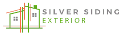 Logo Silver