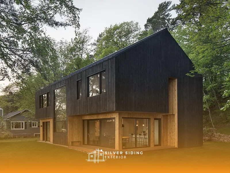 Top 8 Modern Home Siding Trends In 2026 7 black exterior house modern siding