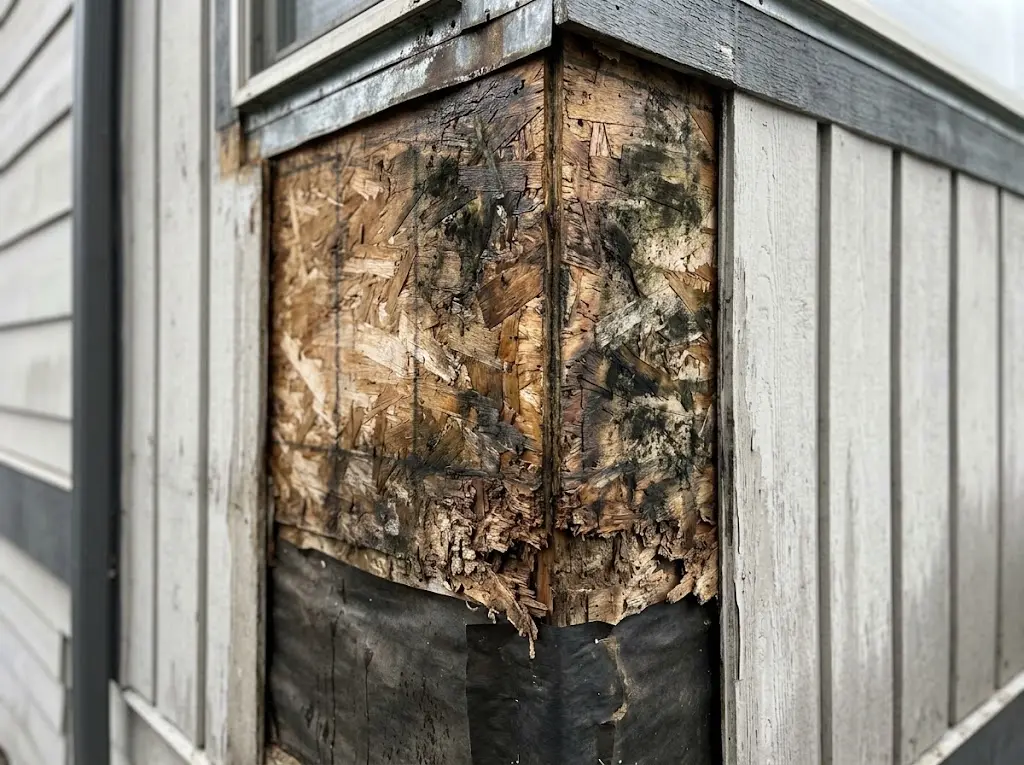 Water-damaged sheathing found behind siding without a drainage gap